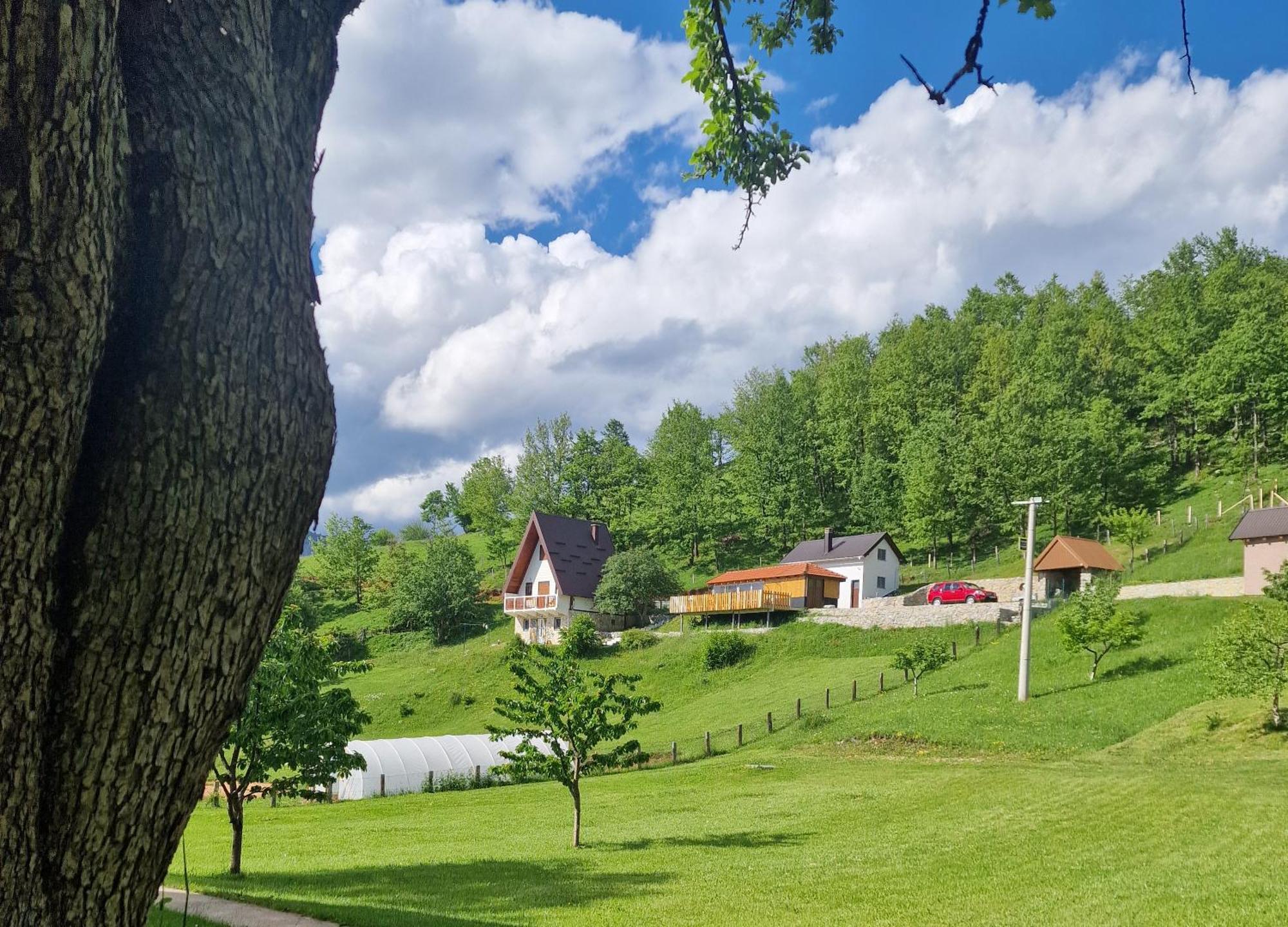 Apartmani Vukomanovo Mojkovac Eksteriør billede